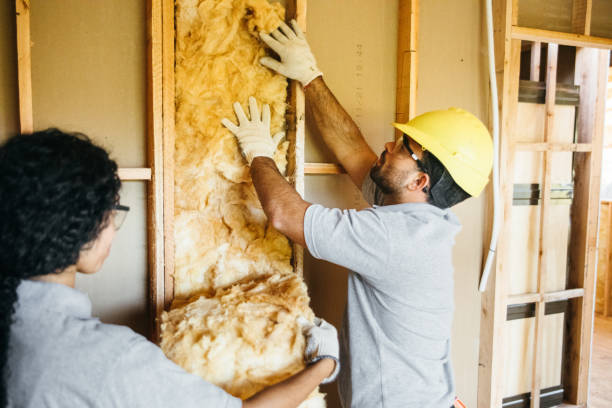 Best Insulation for Existing Homes  in Moonachie, NJ